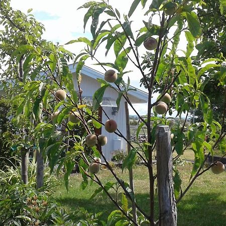 Stuga I Gamla-Koepstad Traslovslage Extérieur photo